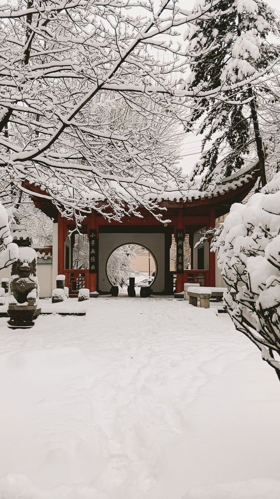 Photograph by Ольга Леонова