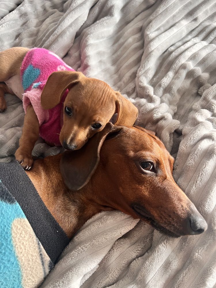 Photograph by Oscar Cortes Alarcón