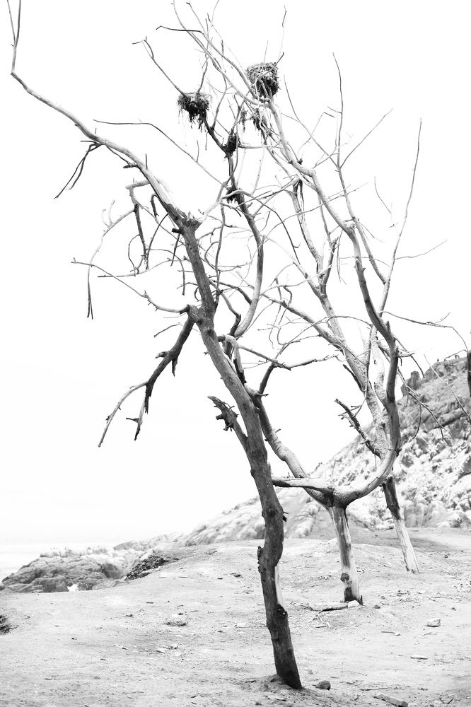 Photograph by Oscar Cortes Alarcón