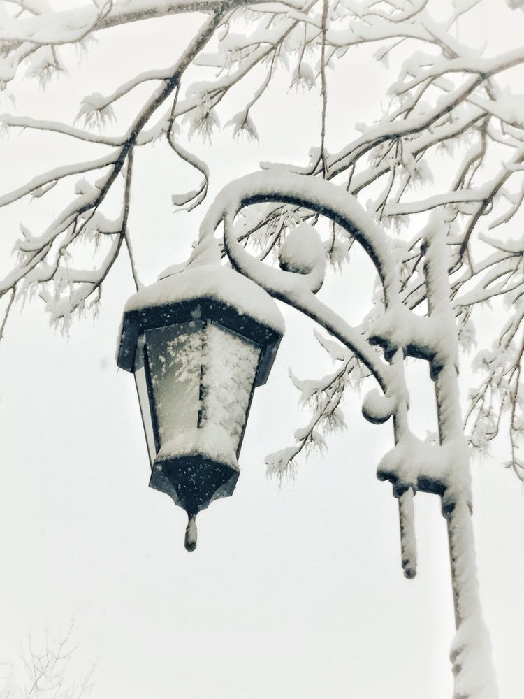 Фотография автора НАТАЛЬЯ СЕВЕР