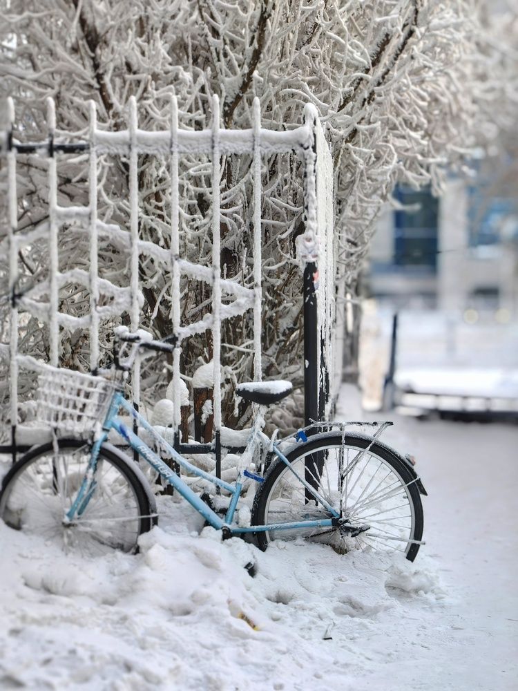 Photograph by OLGA MIKHNEVICH