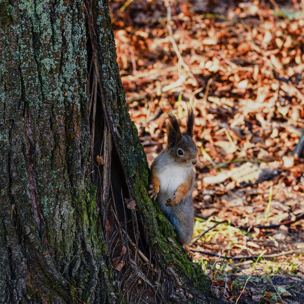 Photograph by Ксения Шилина