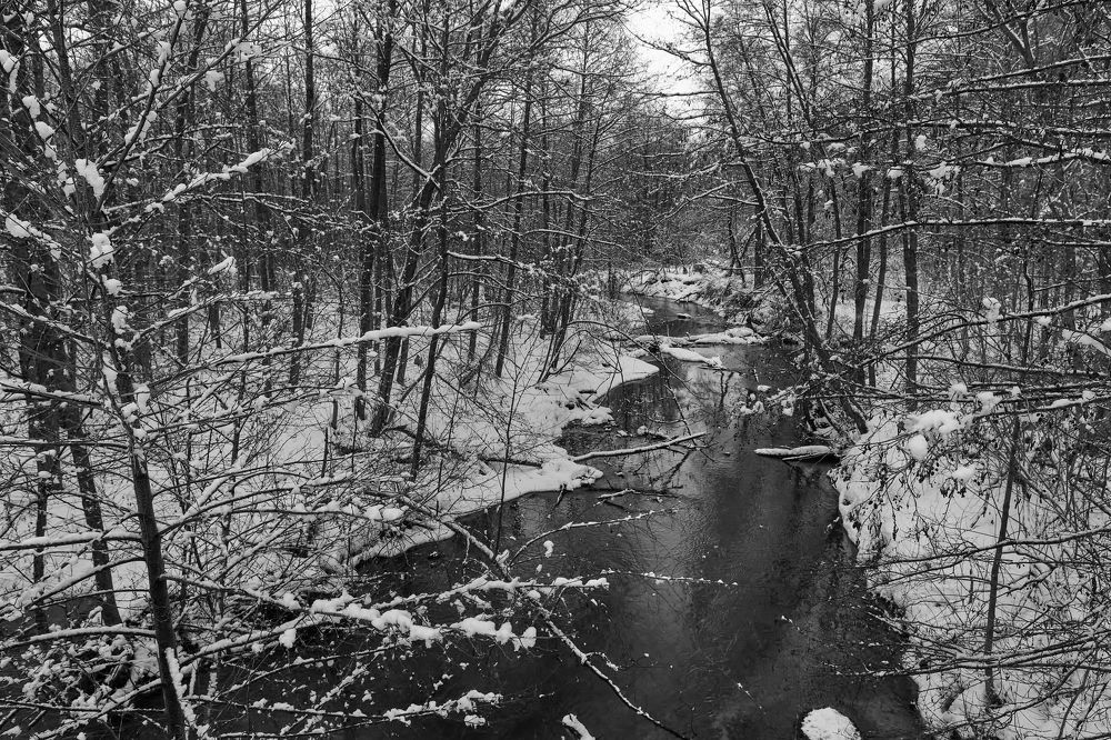 Фотография автора Александр Еремин