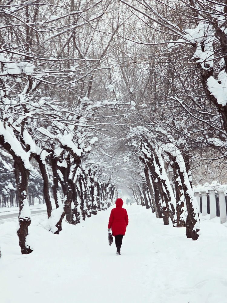 Photograph by Елена Ласун