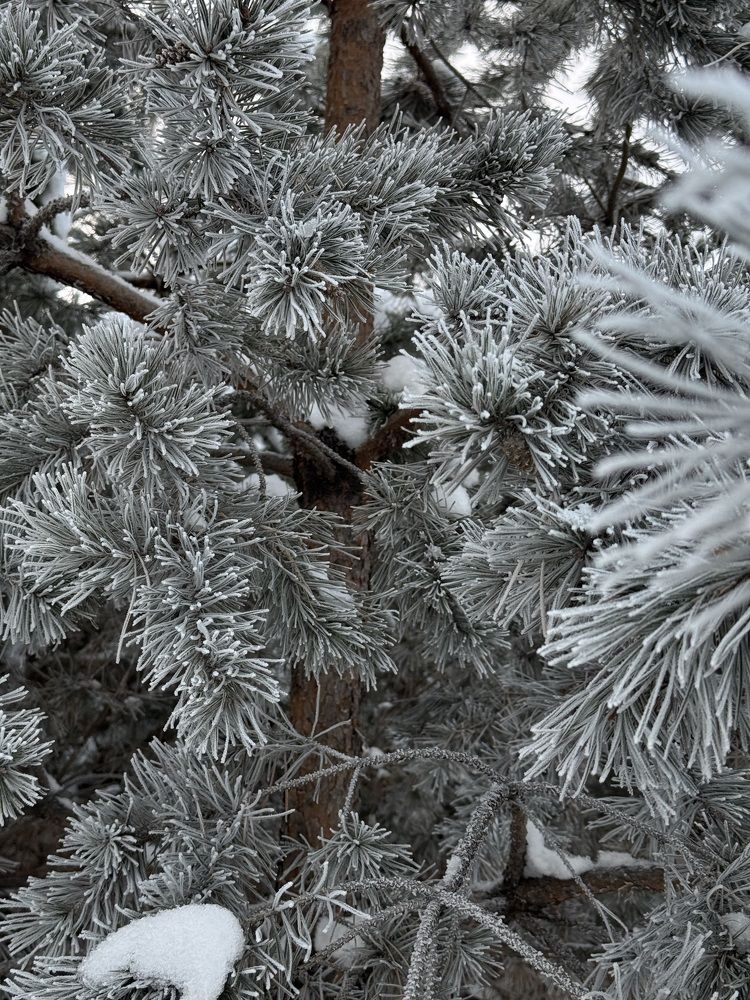 Photograph by Лилия Нуриева