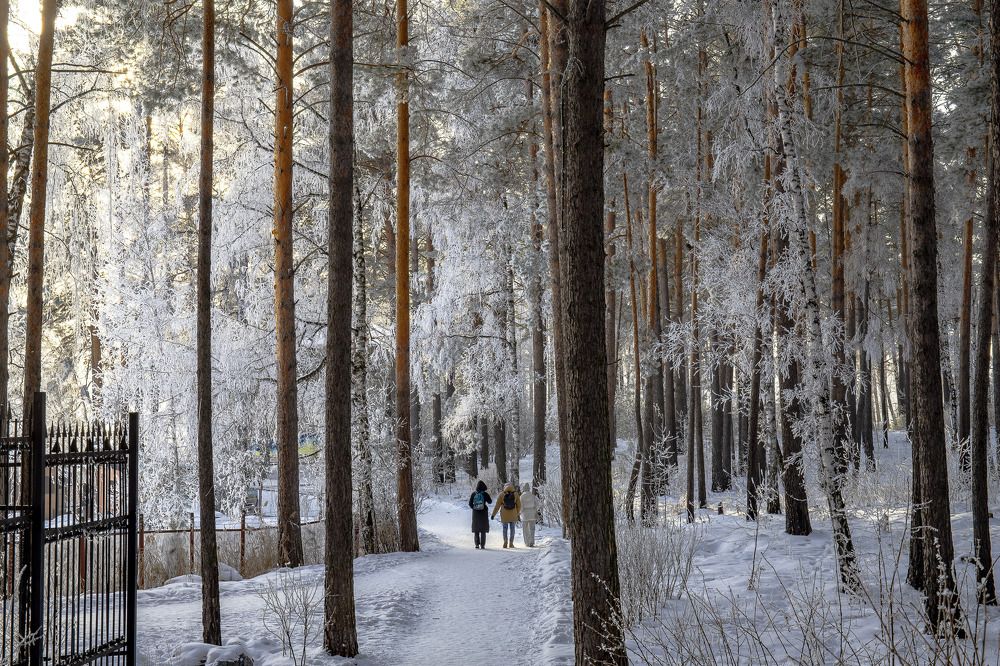 Январь солнцем улыбнулся, Кружевами обернулся).❄❄❄?