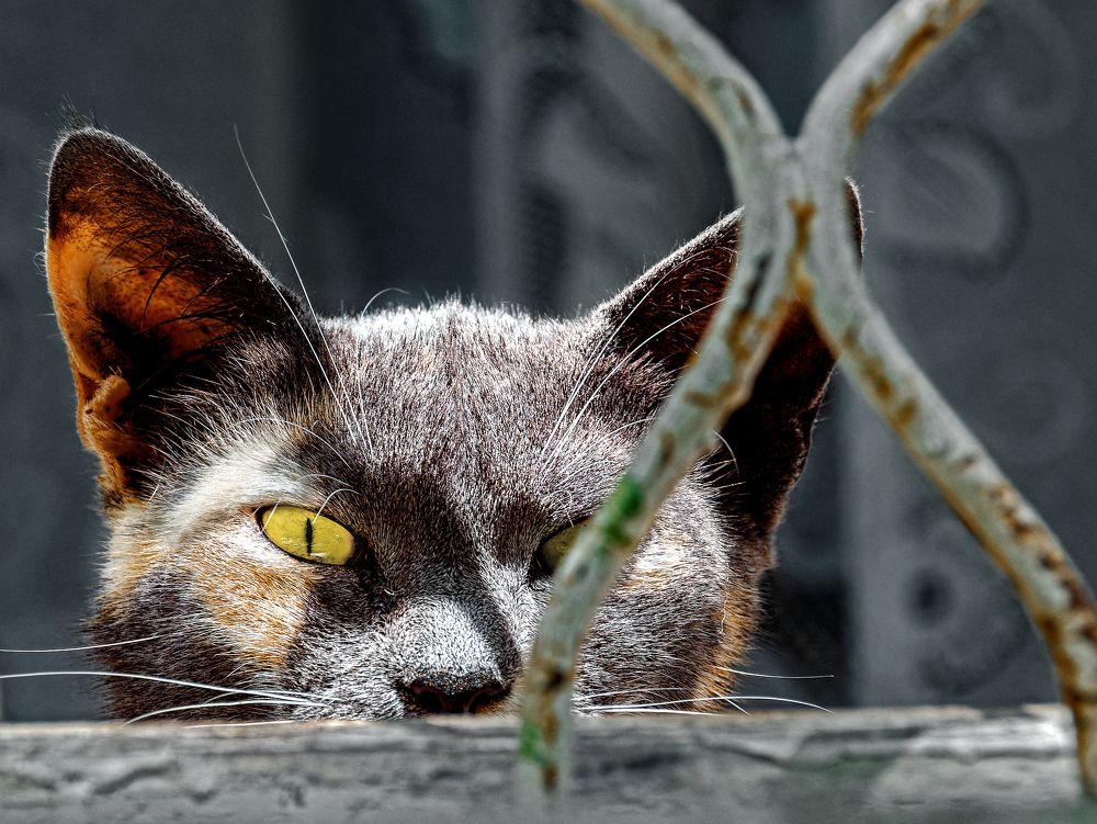 Photograph by Владимир