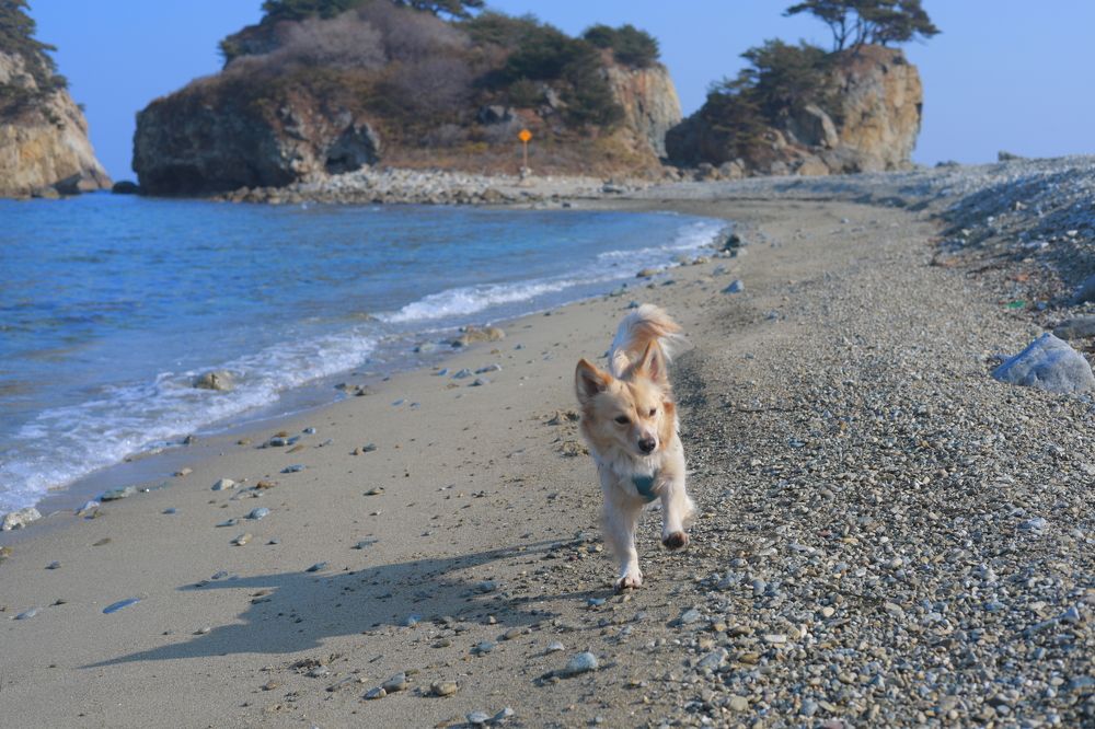Фотография автора Александр Свистоплясов