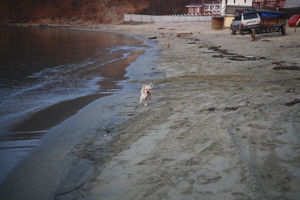 Фотография автора Александр Свистоплясов