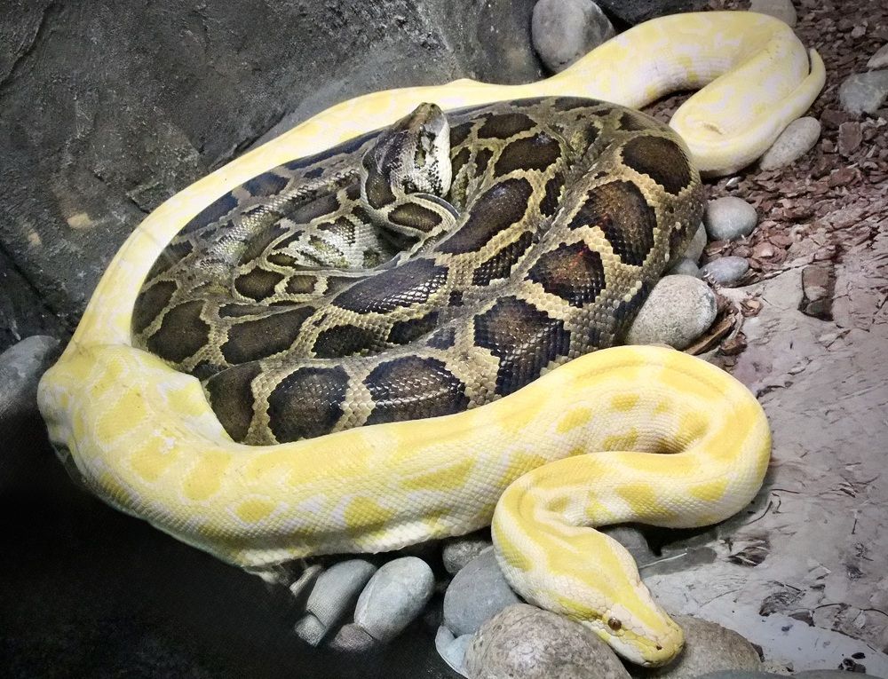 Photograph by Татьяна Шитлина