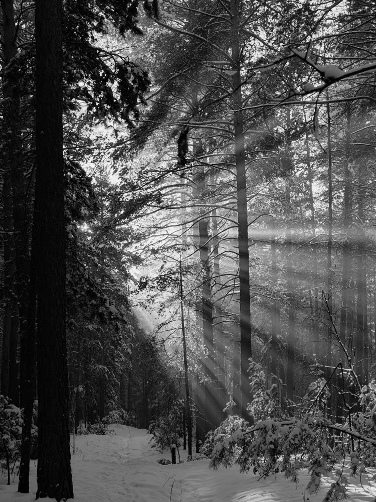 Photograph by Кузнецов Дмитрий