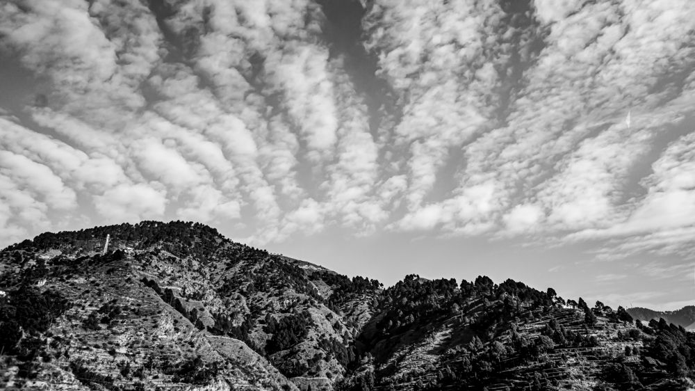 Фотография автора savitri Rawat