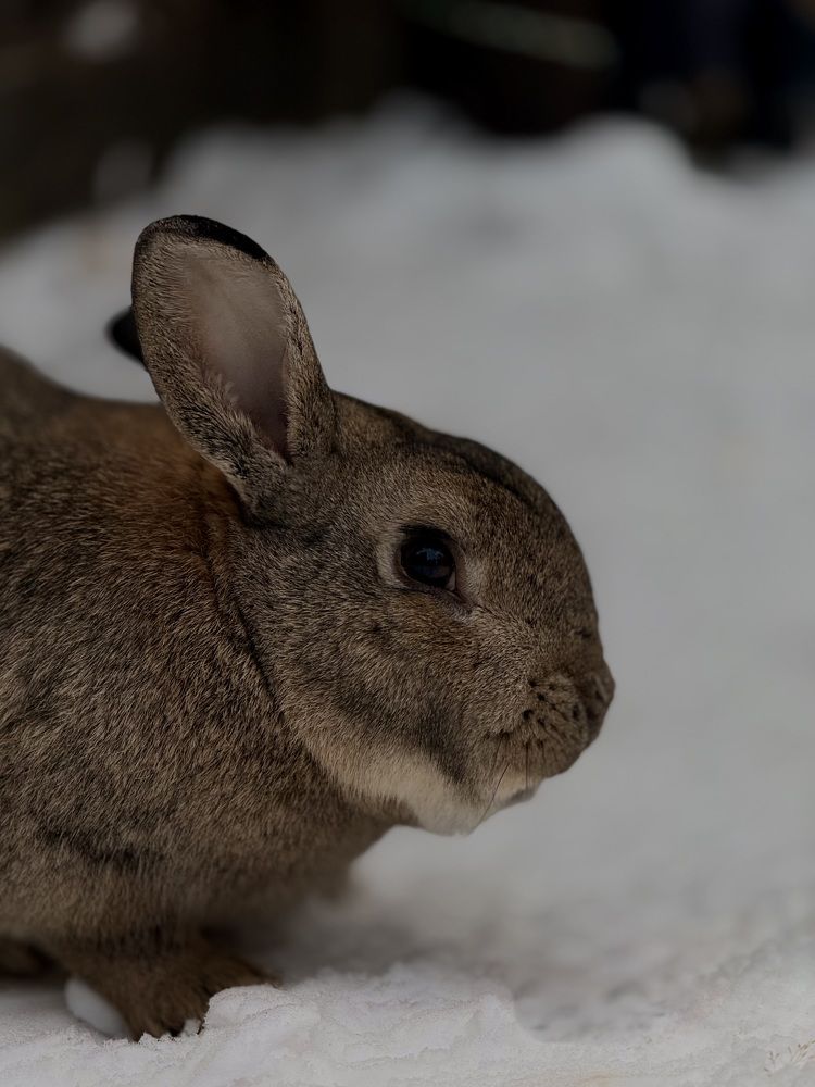 Photograph by Лилия Нуриева