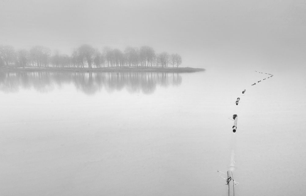 Фотография автора Eugenijus Rauduve