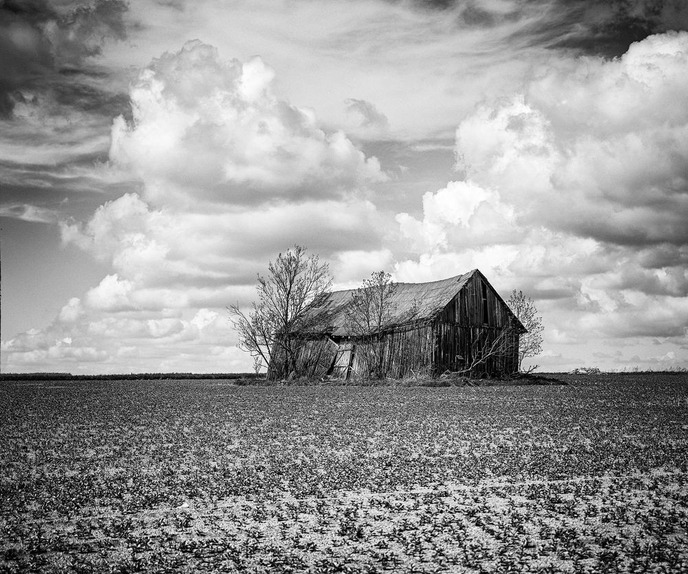 Фотография автора Eugenijus Rauduve