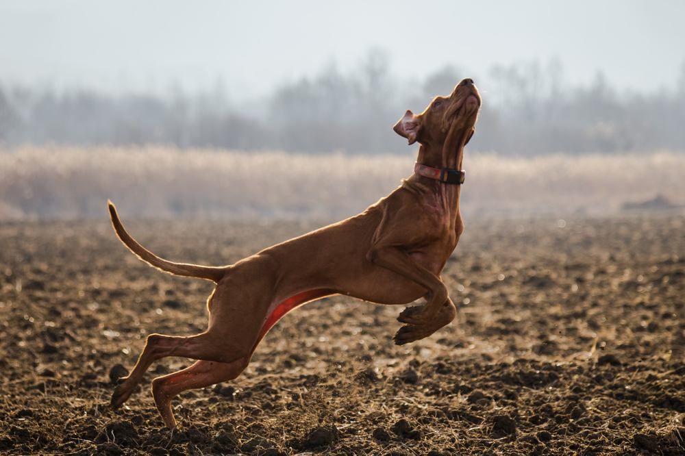 Фотография автора Dubb Tamara