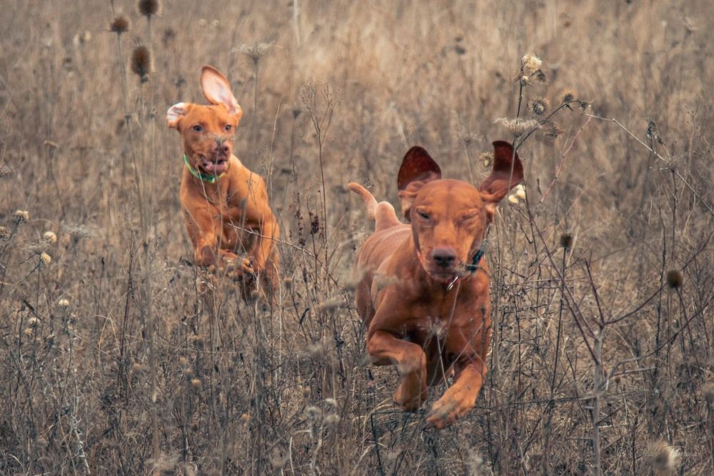 Фотография автора Dubb Tamara