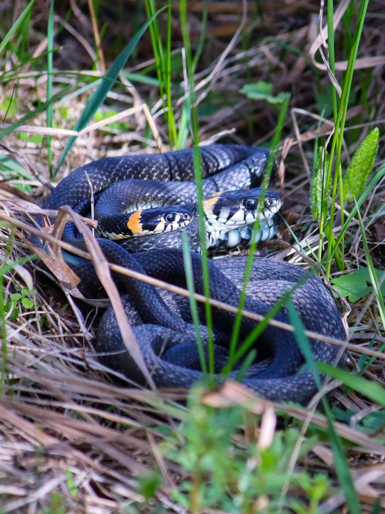 Photograph by Владимир Крылов