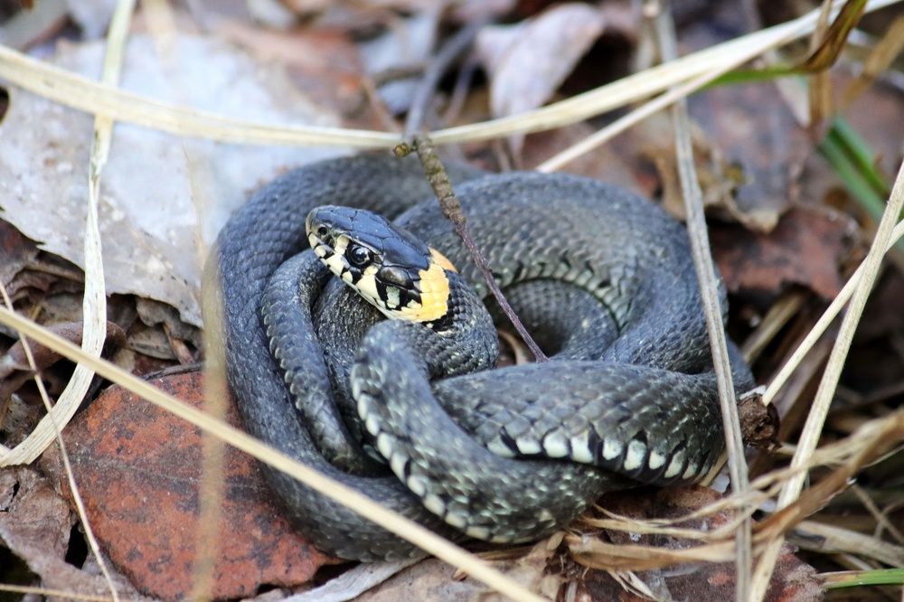 Photograph by Владимир Крылов