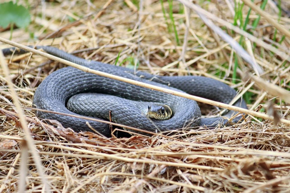 Photograph by Владимир Крылов
