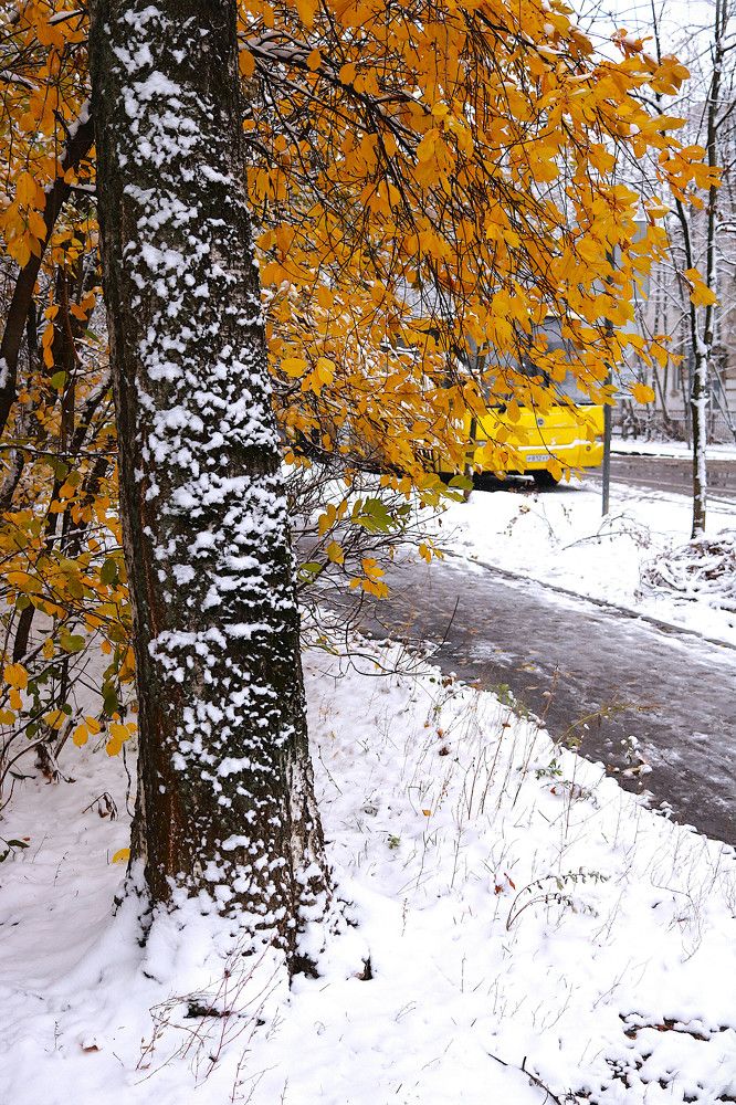 Photograph by Гагик Саркисян