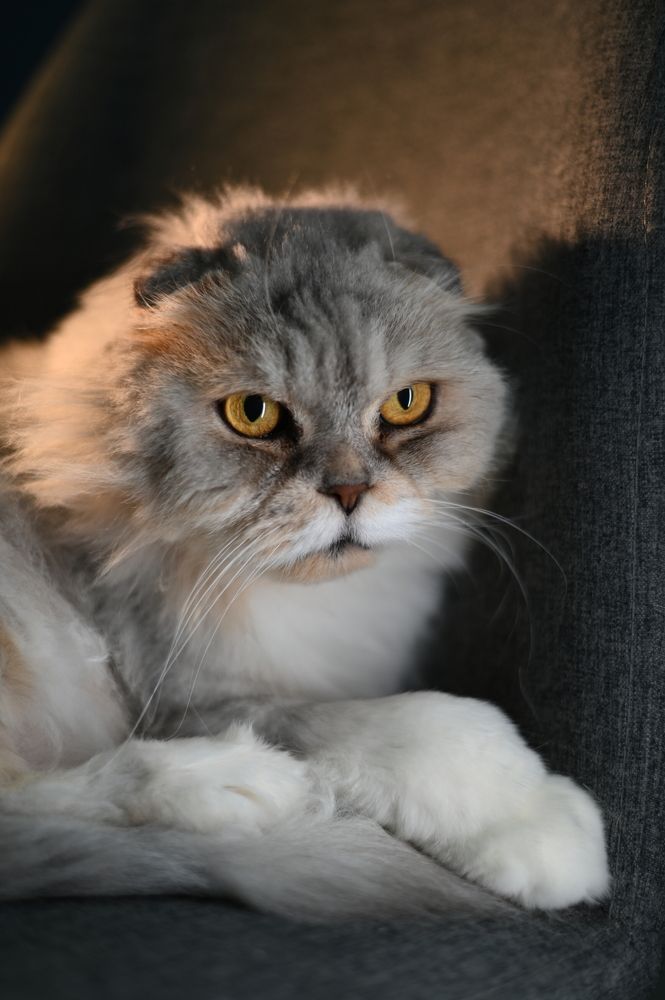Photograph by Надежда Образцова
