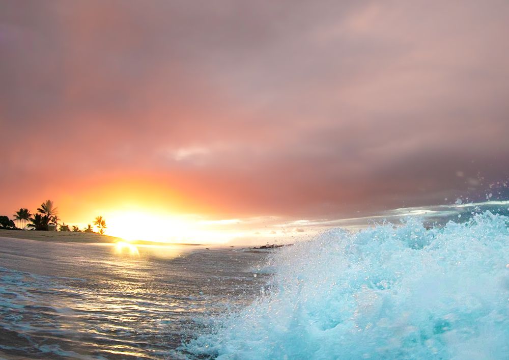 The perfect start to the day