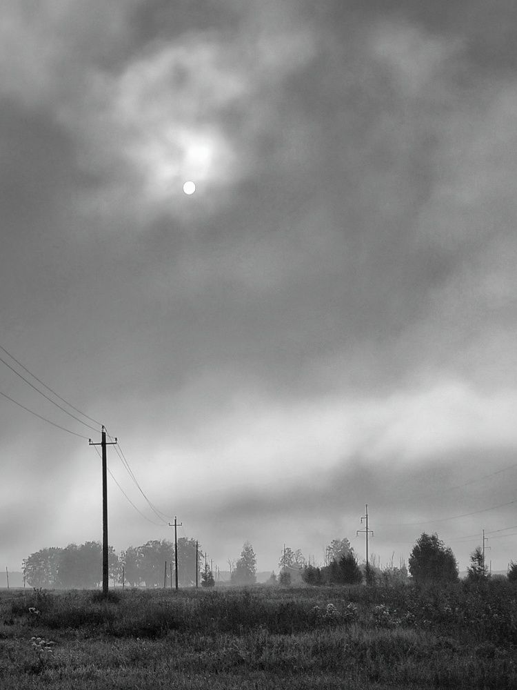 В поле туманным утром