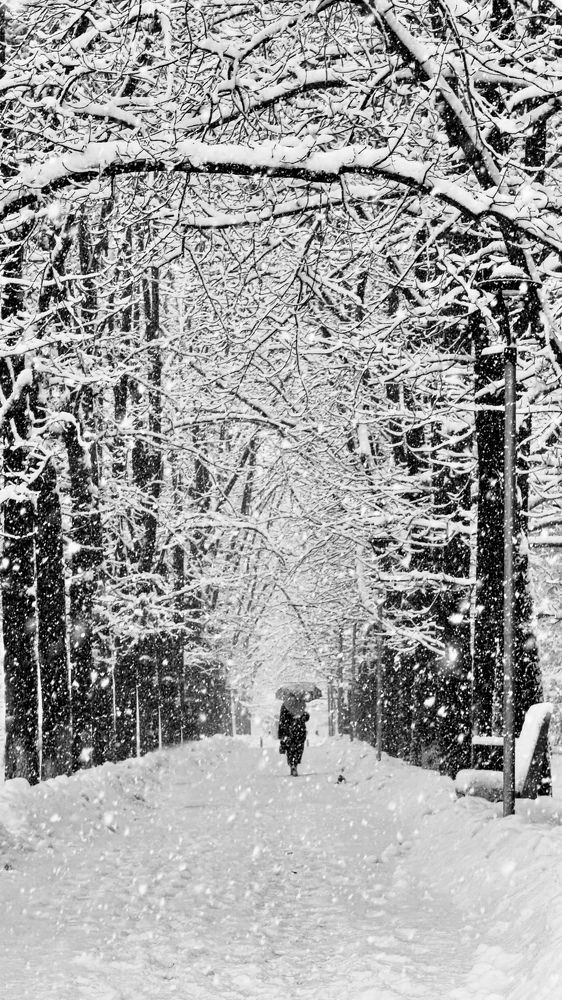 Photograph by Ольга Бибекина