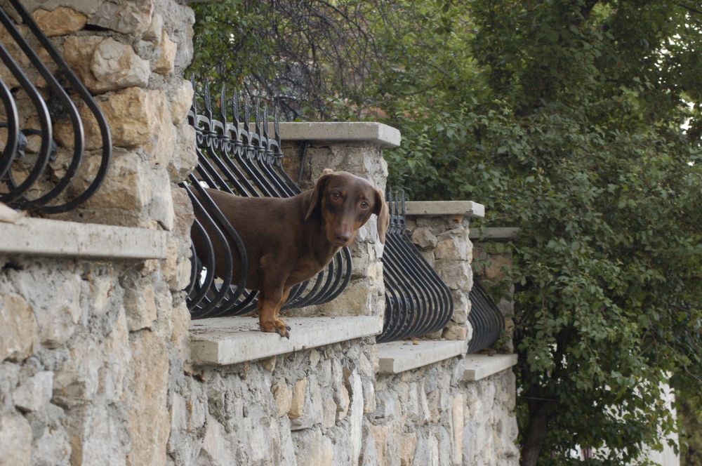 Фотография автора Олег Анатольевич Загорулько