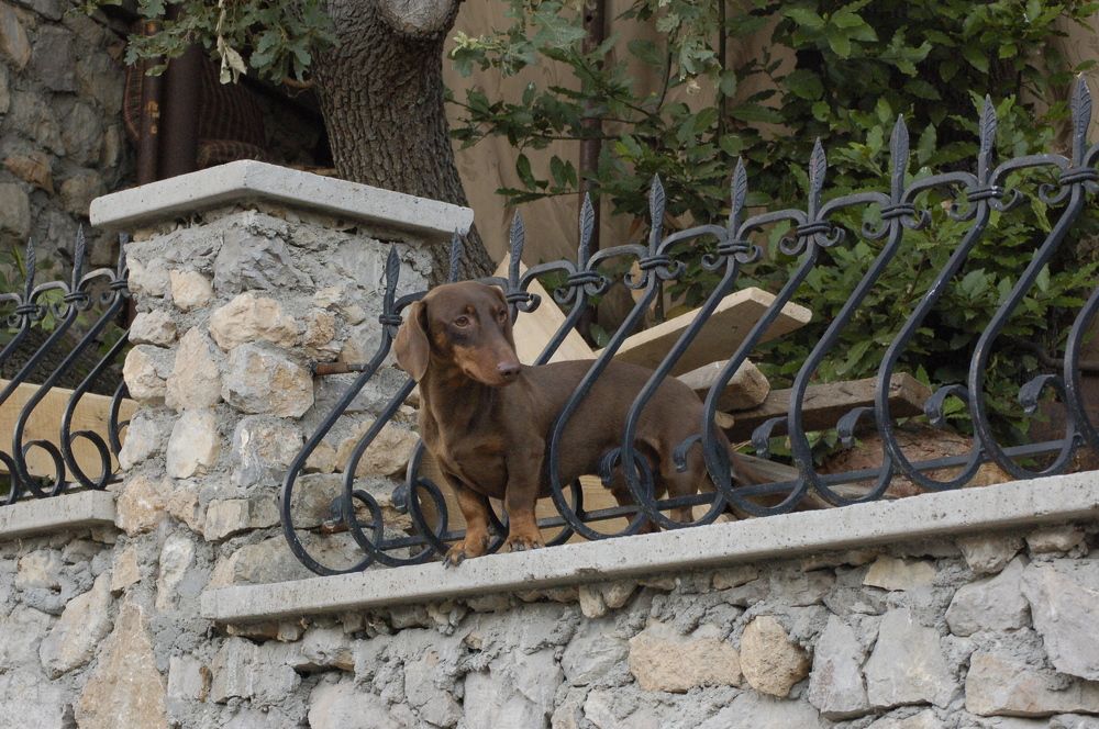 Фотография автора Олег Анатольевич Загорулько