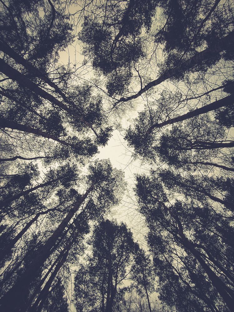 Photograph by Yulia Ocean