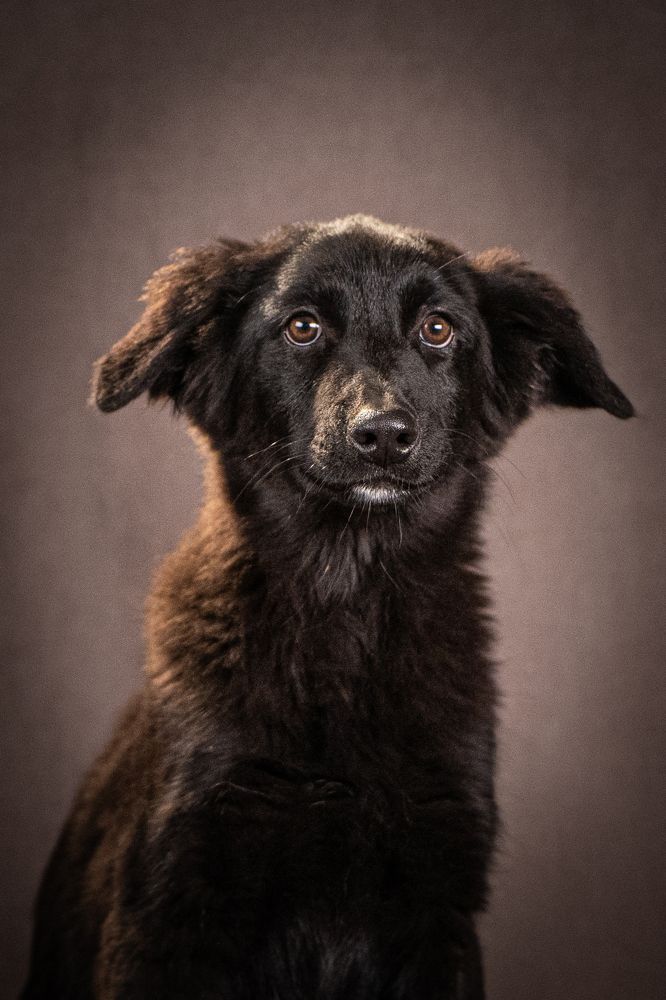 Photograph by Ольга Пачина