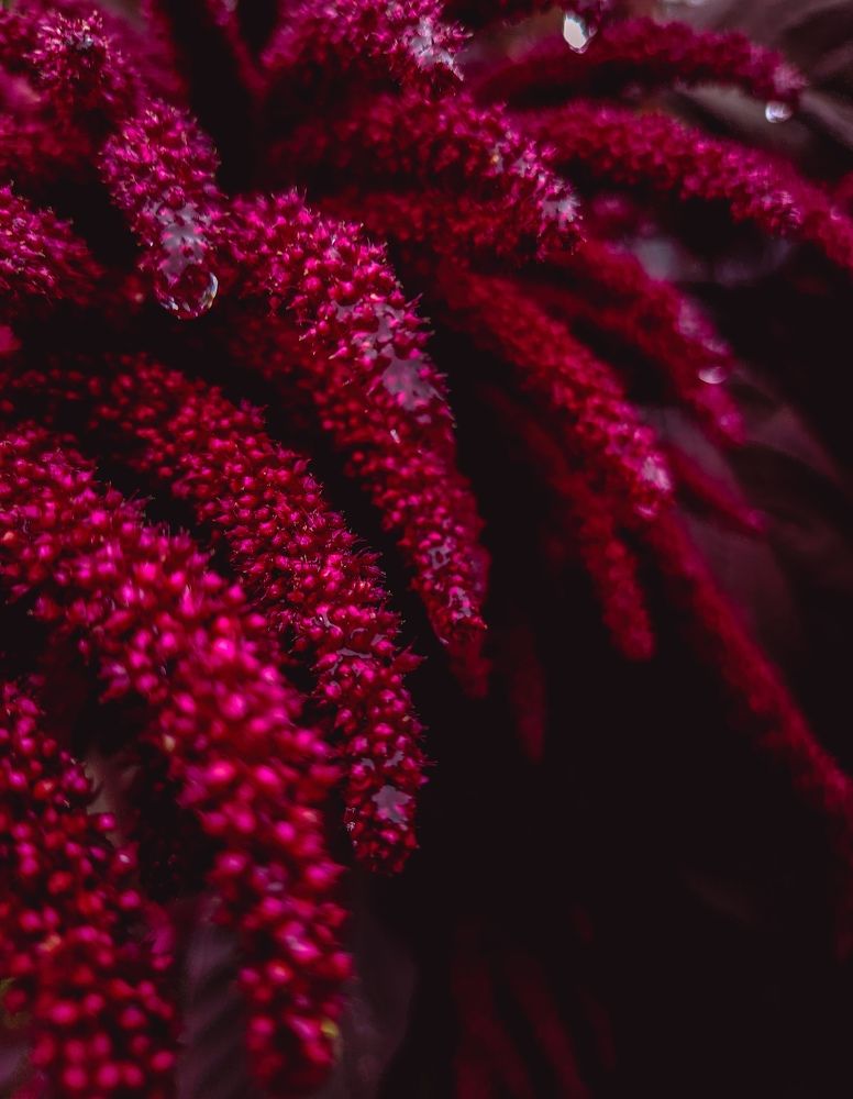 Photograph by Yulia Ocean