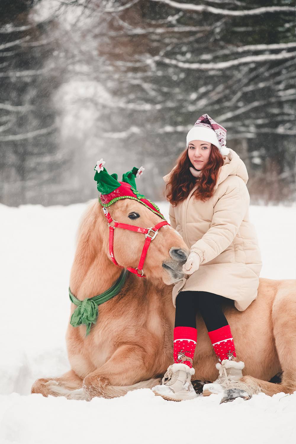 Фотография #11615681