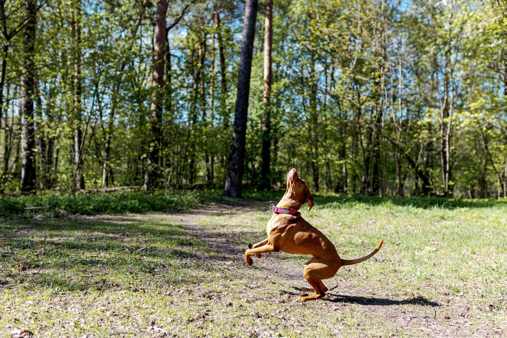 Фотография автора Кушпилева Марина