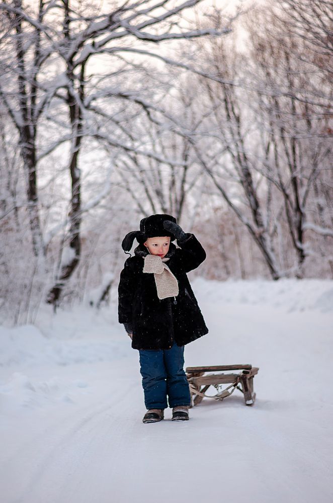 Фотография автора Светлана Скотникова