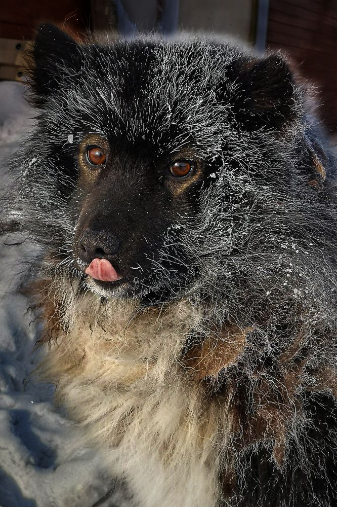 Photograph by Ольга Мусиенко