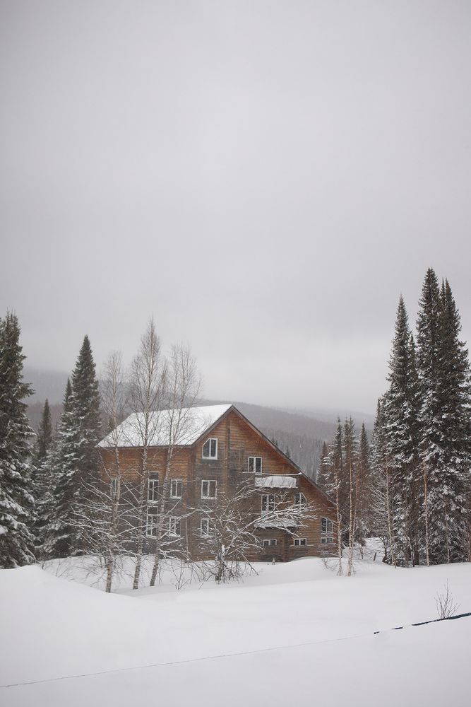 Photograph by Наталья Житинева