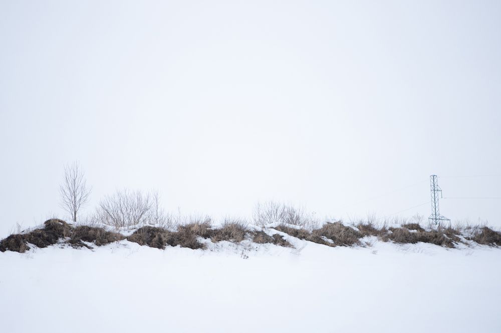 Photograph by Наталья Житинева