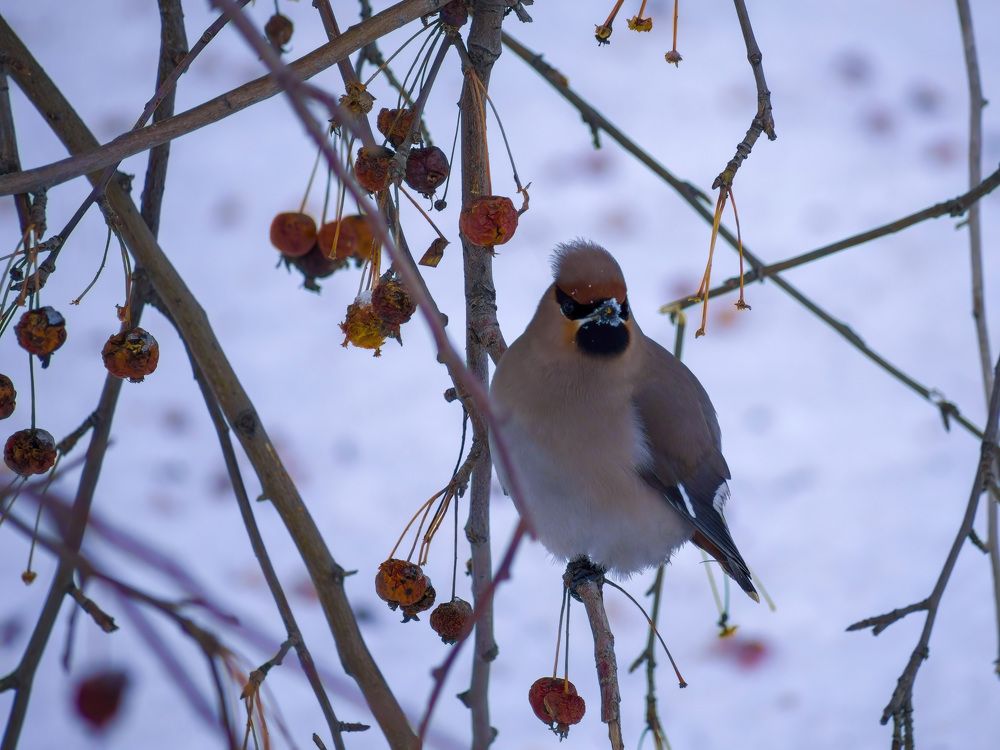 Photograph by envalid