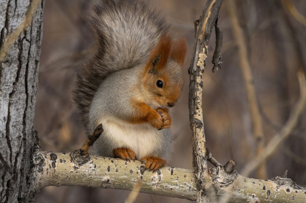 Photograph by envalid