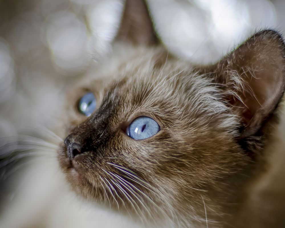 Photograph by Denis Polushin