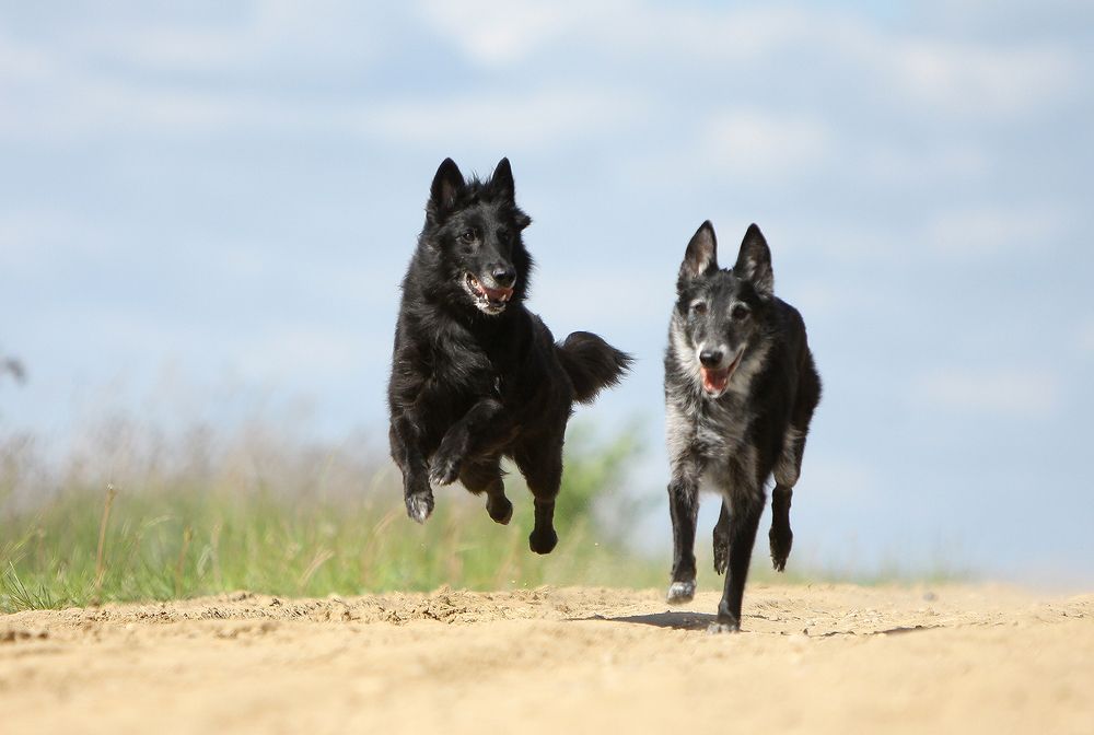 Кто бежит, кто - летит!