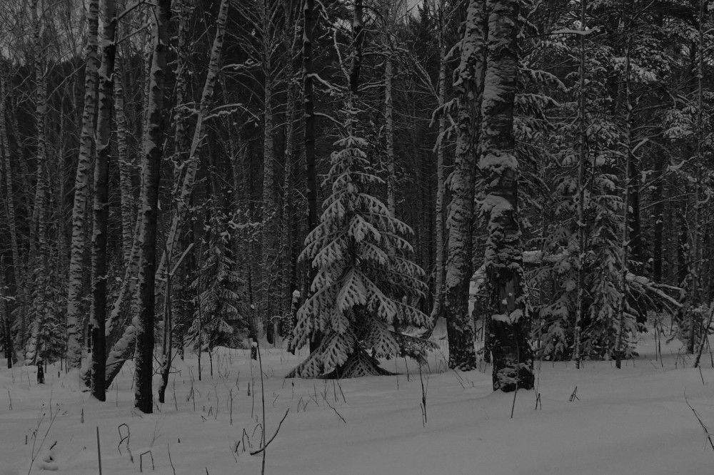 Photograph by Владимир Семиченко