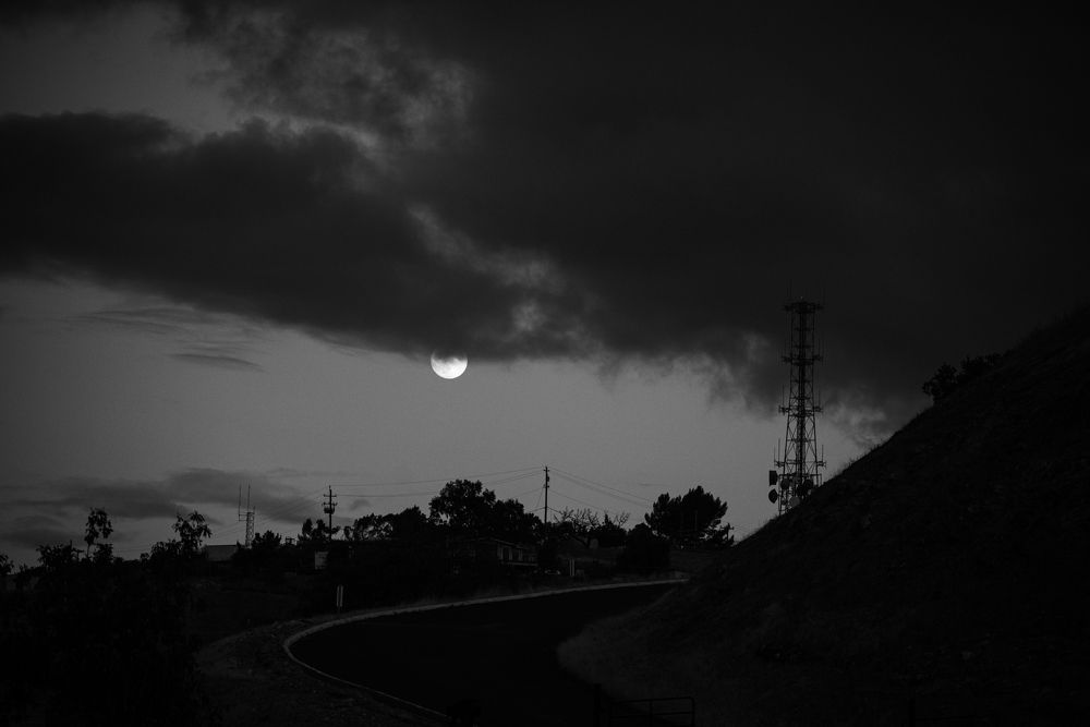 Photograph by Anna Vlasova