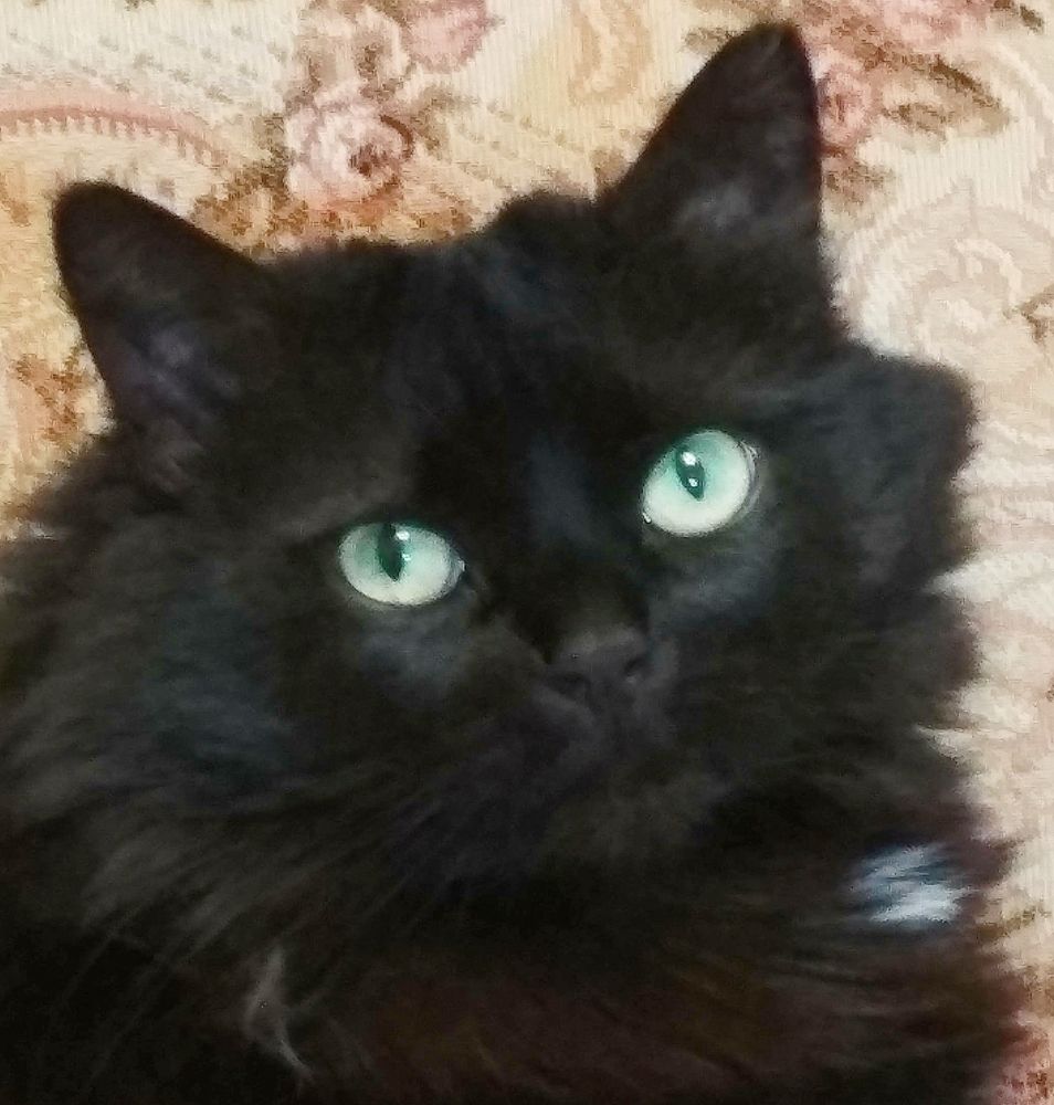 Photograph by Анна Андреевна