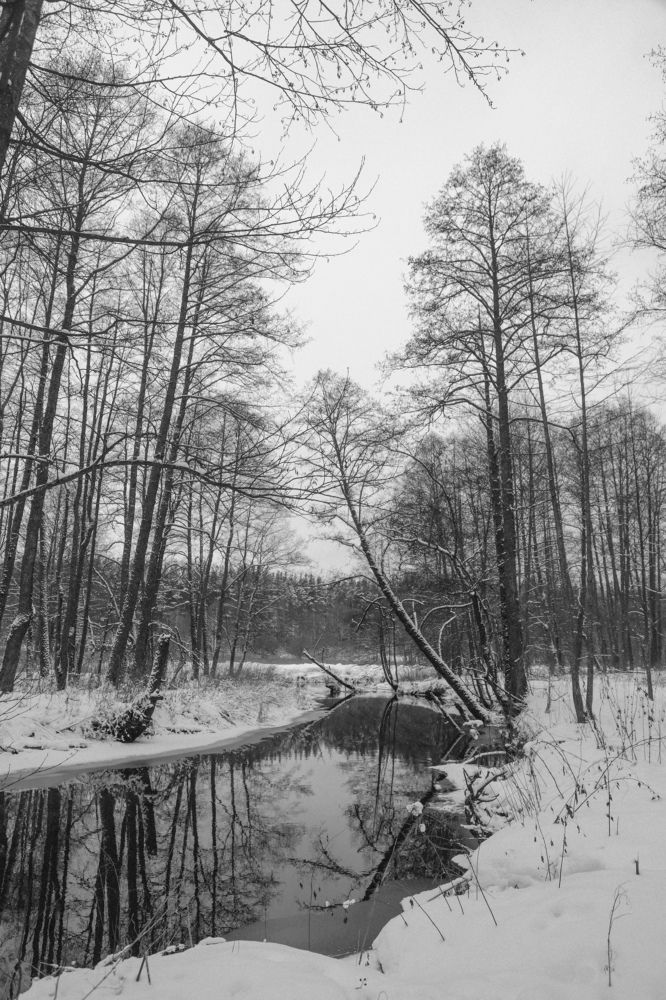 Photograph by Angelina Karelina