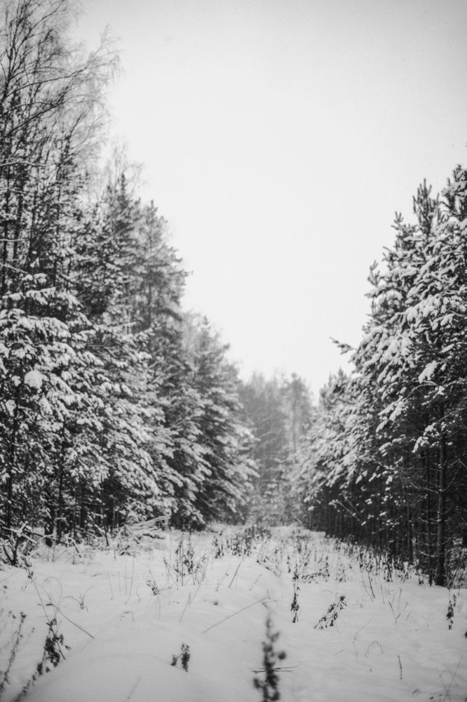 Photograph by Angelina Karelina