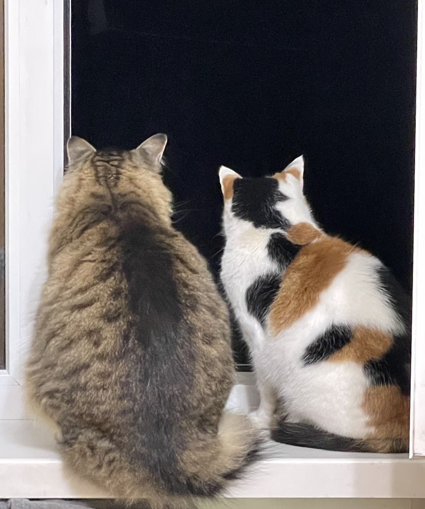 Photograph by Татьяна Токарева